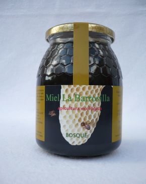 Miel de bosque ecológica 1 kg