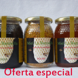 Oferta especial de miel y polen